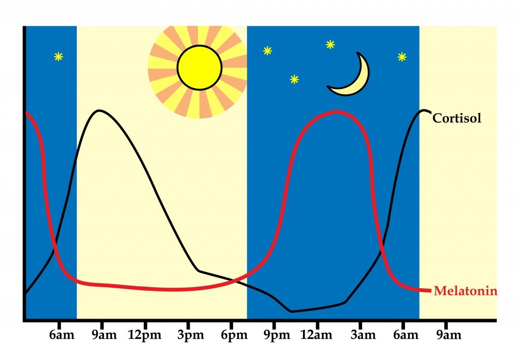 Melatonin-and-Cortisol